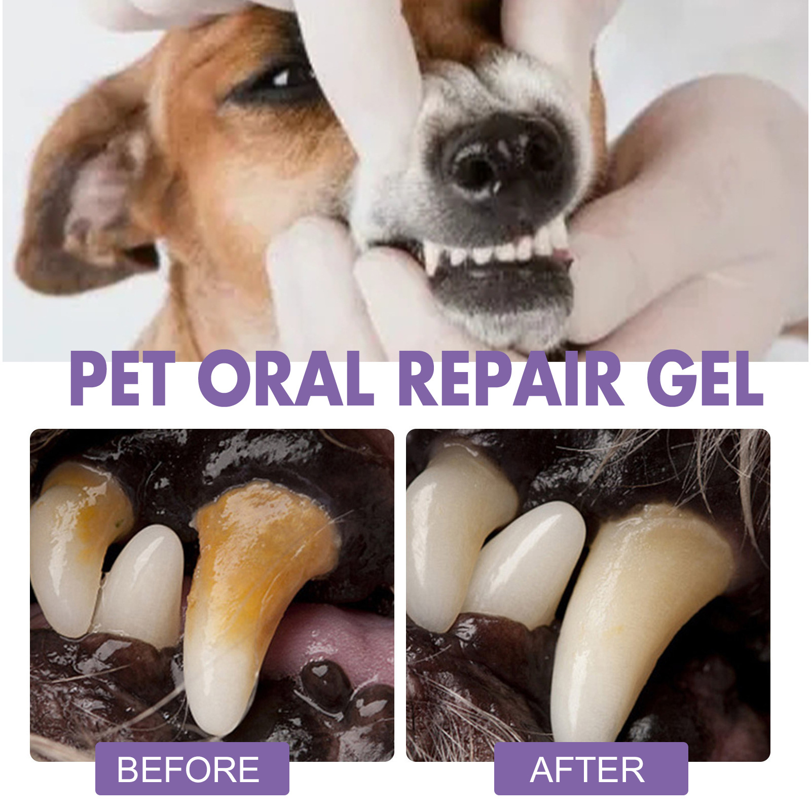 Huisdier Orale Reparatie Gel P - Teeth Whitening Cream recensie en prijs